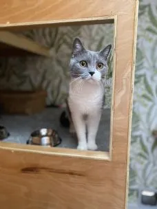 Lovi Pet Hotel, Manchester - Photo 1 of 4