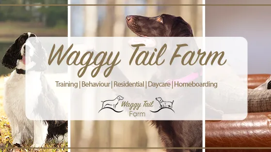 Waggy Tail Farm Ltd