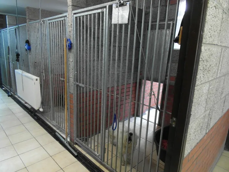 MuddyDugz Boarding Kennels