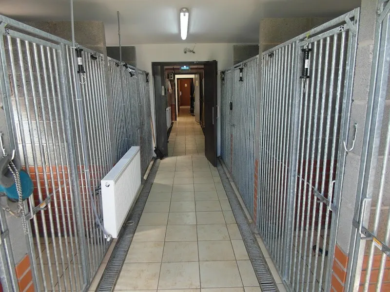 MuddyDugz Boarding Kennels