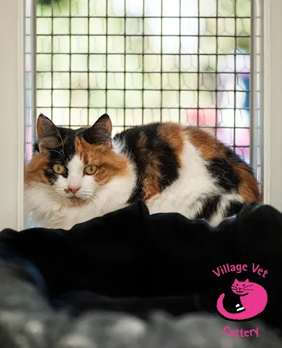 Cats Whiskers Cattery, St Albans - Photo 1 of 2