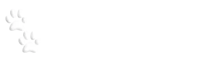 Wynnestay Kennels & Cattery - Image 1