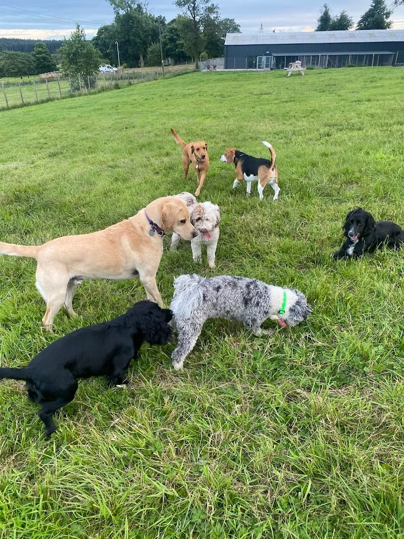 Canine Country Lodge