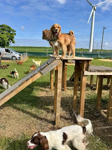 Scenter Barcs, Dalkeith