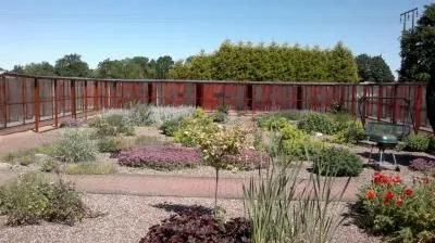 Rosedale Cattery, Hull - Photo 1 of 2