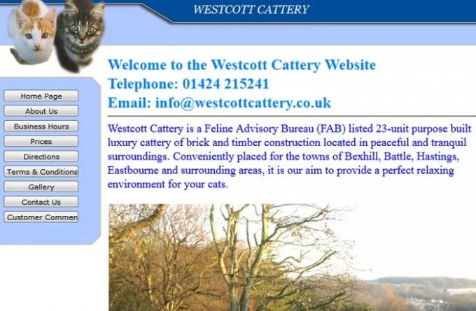 Westcott Cattery, Bexhill-on-Sea - Photo 2 of 2