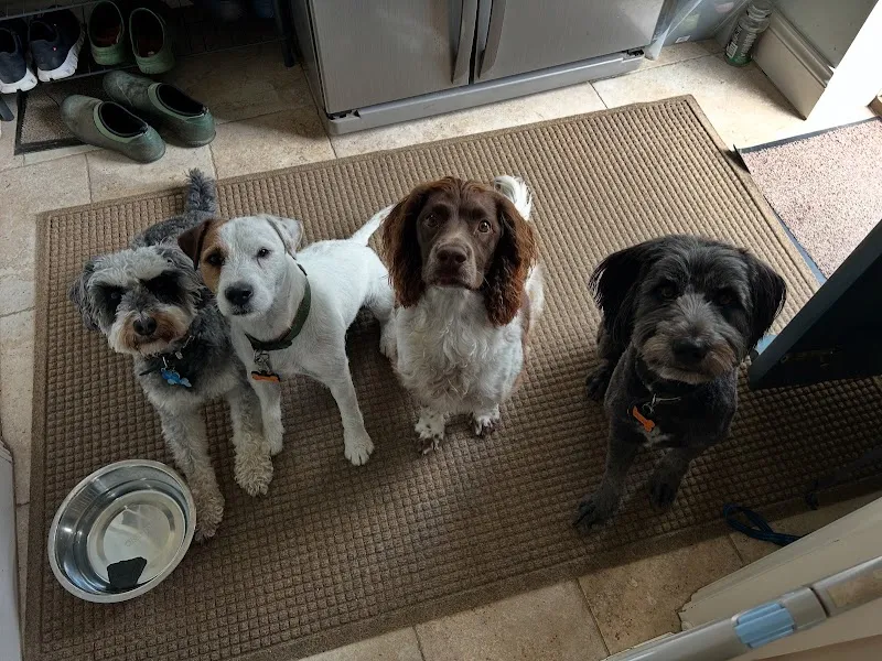 Phoenix House Home Boarding