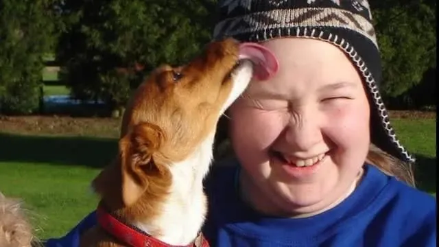 Amberlea Country Kennels & Cattery