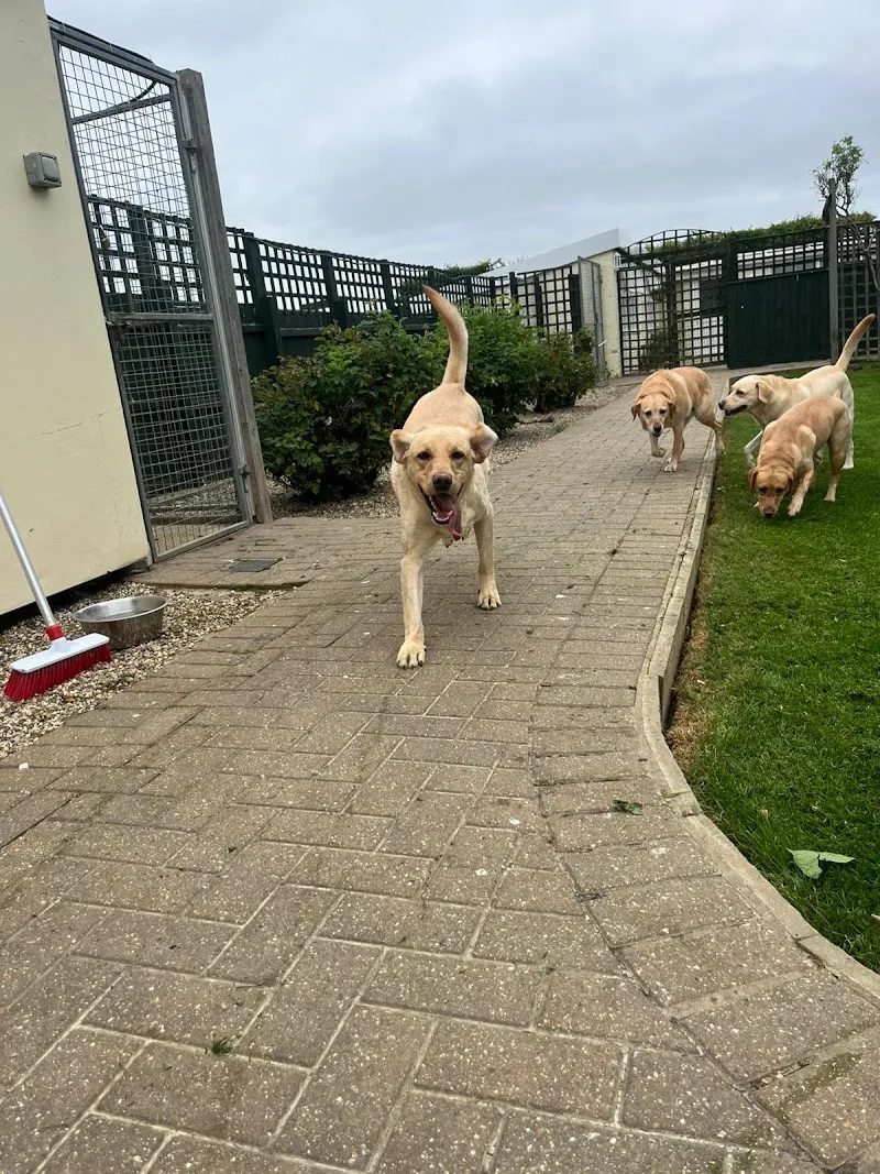 Amberlea Country Kennels & Cattery