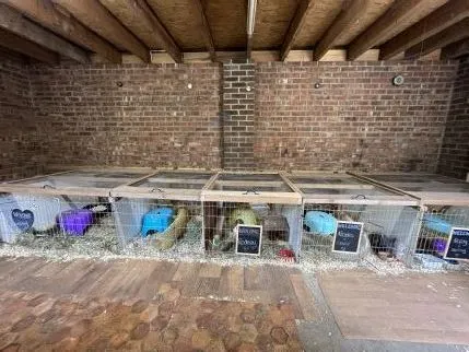 Ripon Small Animal Boarding, Ripon