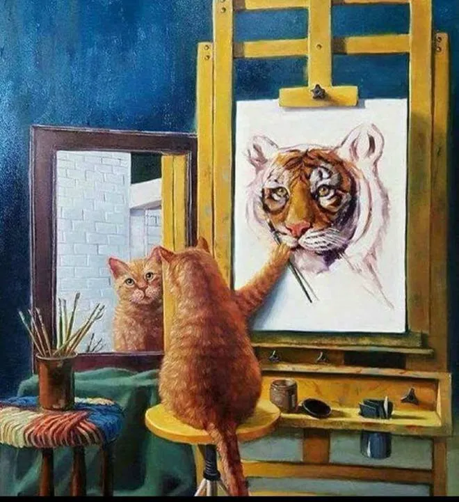 Dawn's Boarding Cattery