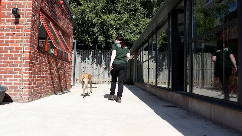 Askham Bryan Dog School and Boarding