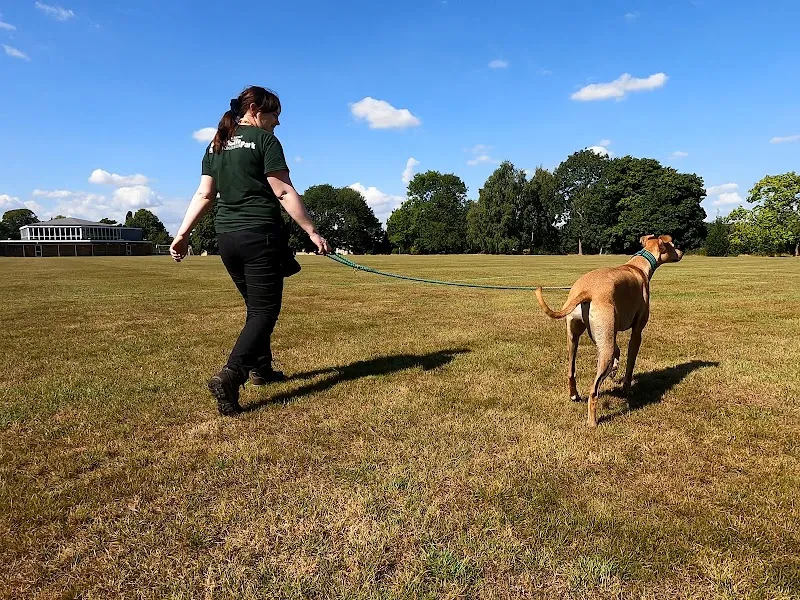 Askham Bryan Dog School and Boarding
