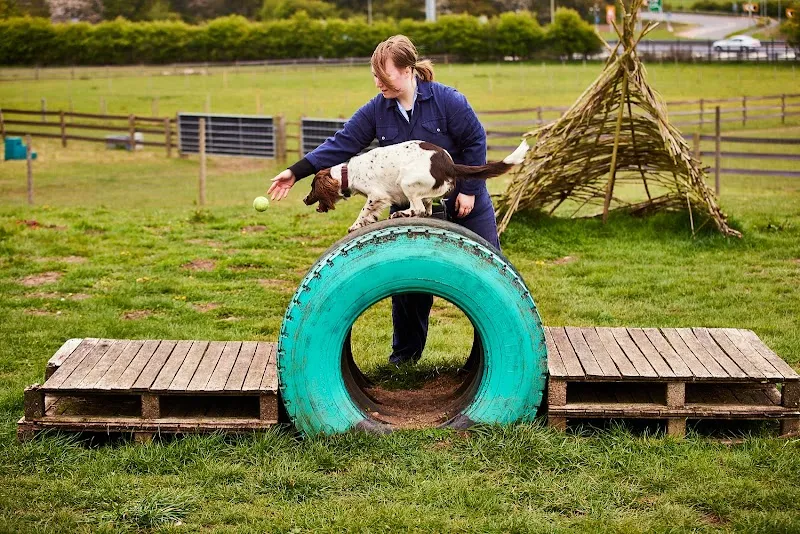 Askham Bryan Dog School and Boarding