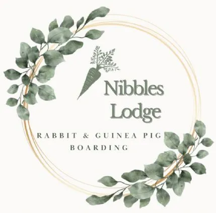 Nibbles Lodge Rabbit & Guinea Pig Boarding, Portsmouth - Photo 1 of 3