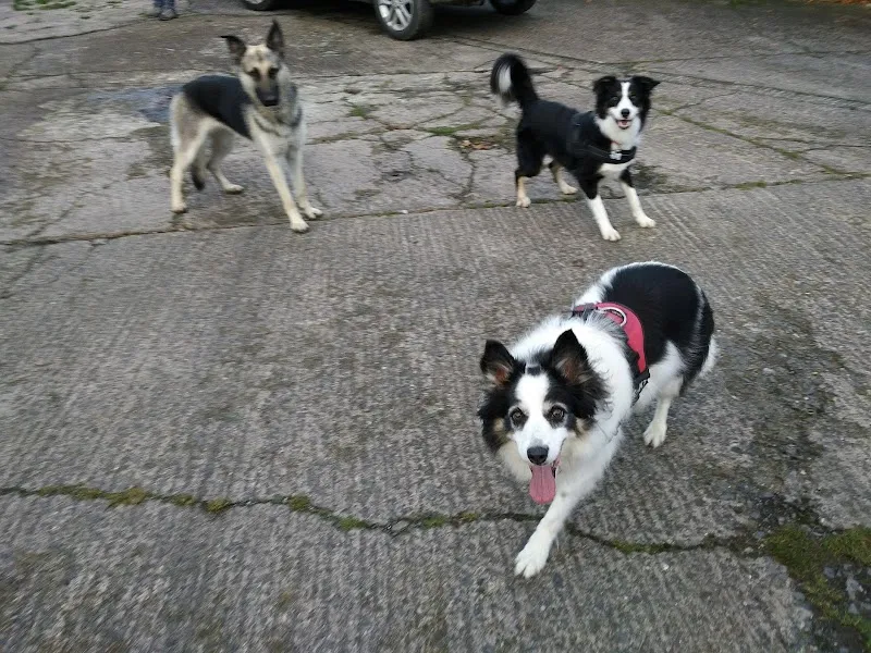 Beechgrove Behaviour & Training Centre