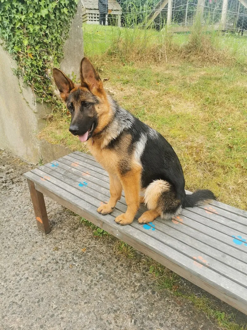 Beechgrove Behaviour & Training Centre