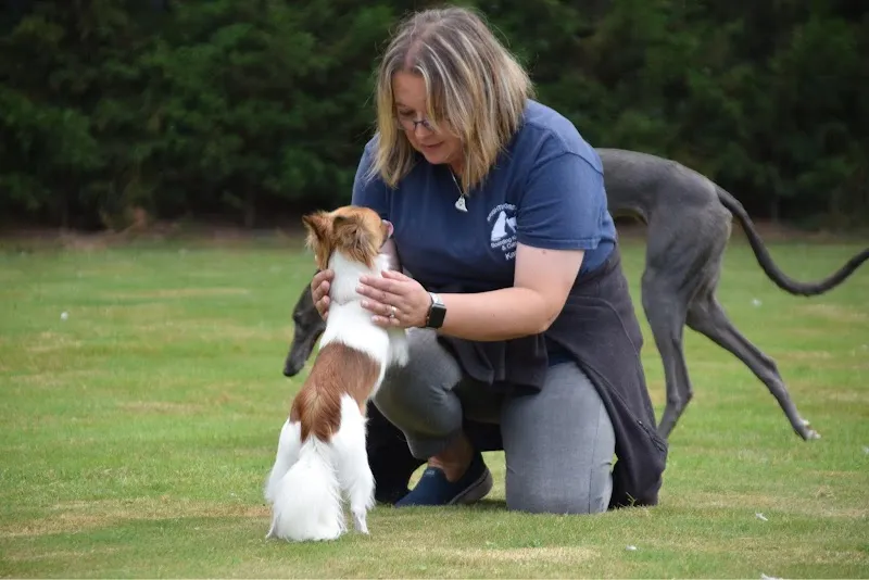 Brightlingsea Boarding Kennels & Cattery