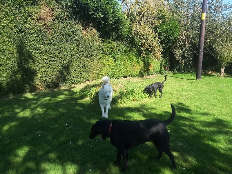 Teekoy Country Dog Retreat