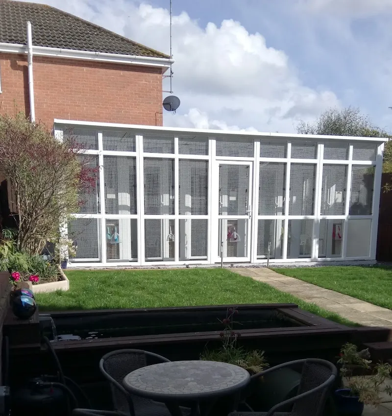 Precious Paws Cattery