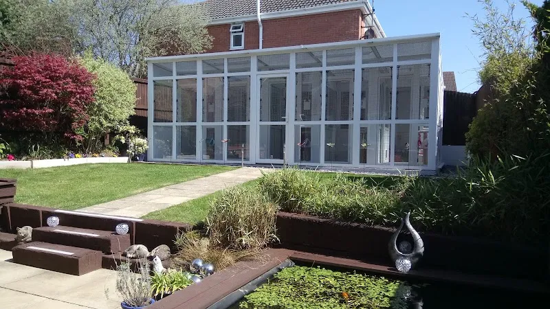 Precious Paws Cattery