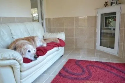 Westlodge Pet Hotel, Cambridge - Photo 1 of 3