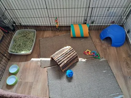 Hunnibunz Pet Hotel - Image 1