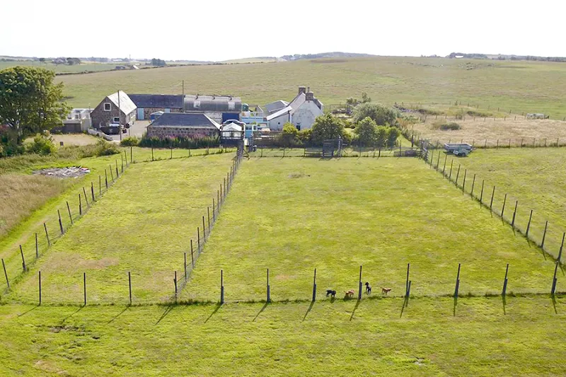 Glenugie Kennels