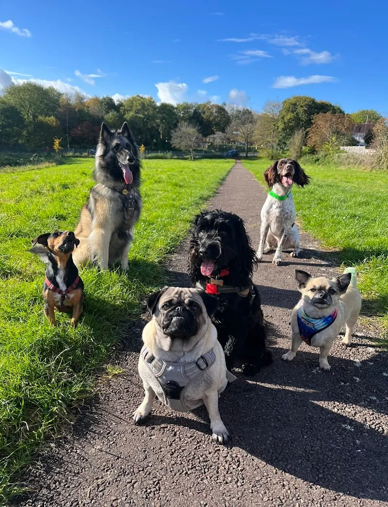 Puppy Playcation Ltd