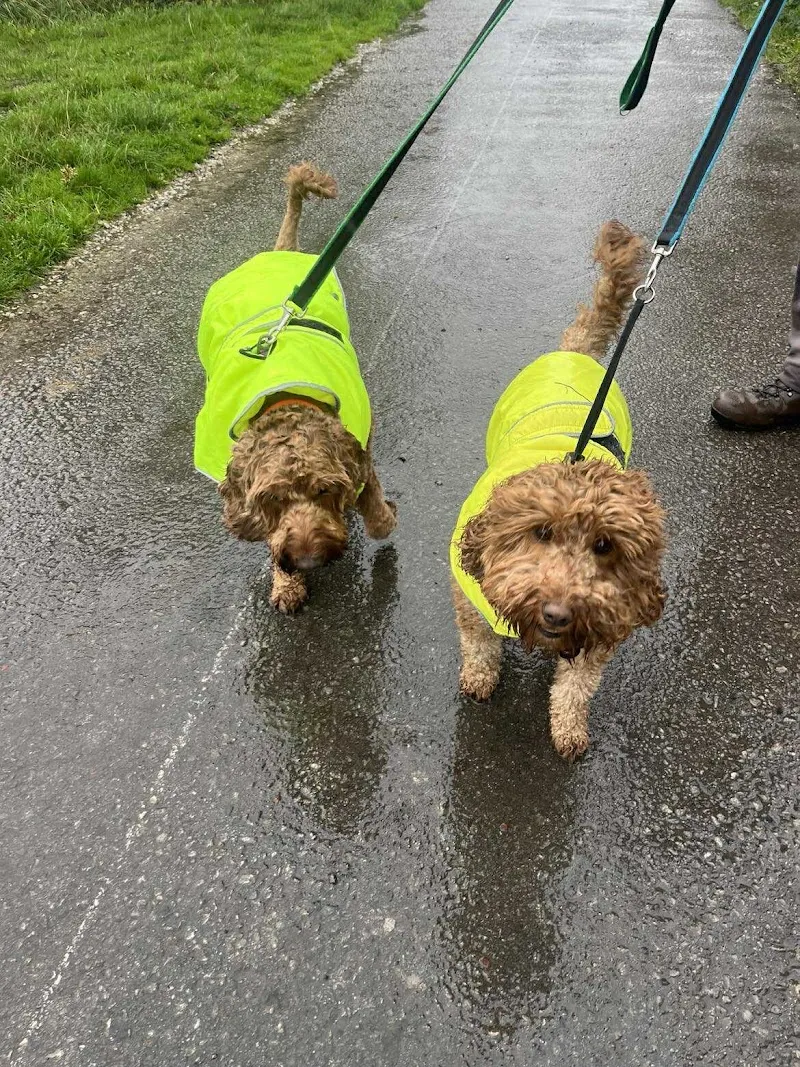 New Building Farm Boarding Kennels