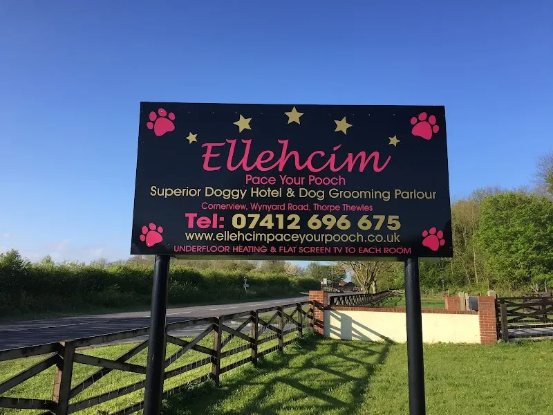 Ellehcim Pace Your Pooch