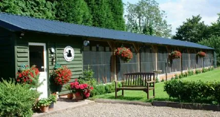 Catkins Cattery, Kidderminster - Photo 1 of 2