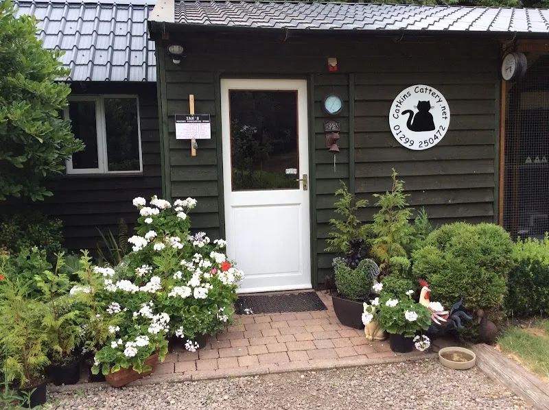 Catkins Cattery