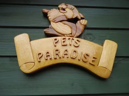 Pets Paradise, Solihull