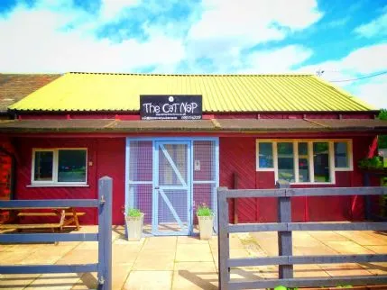 The CaT NaP, Altrincham - Photo 1 of 4