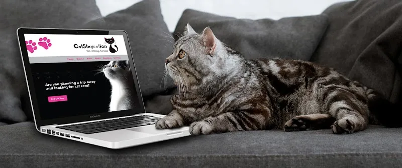 CatStaycation Cat Sitter Gloucester