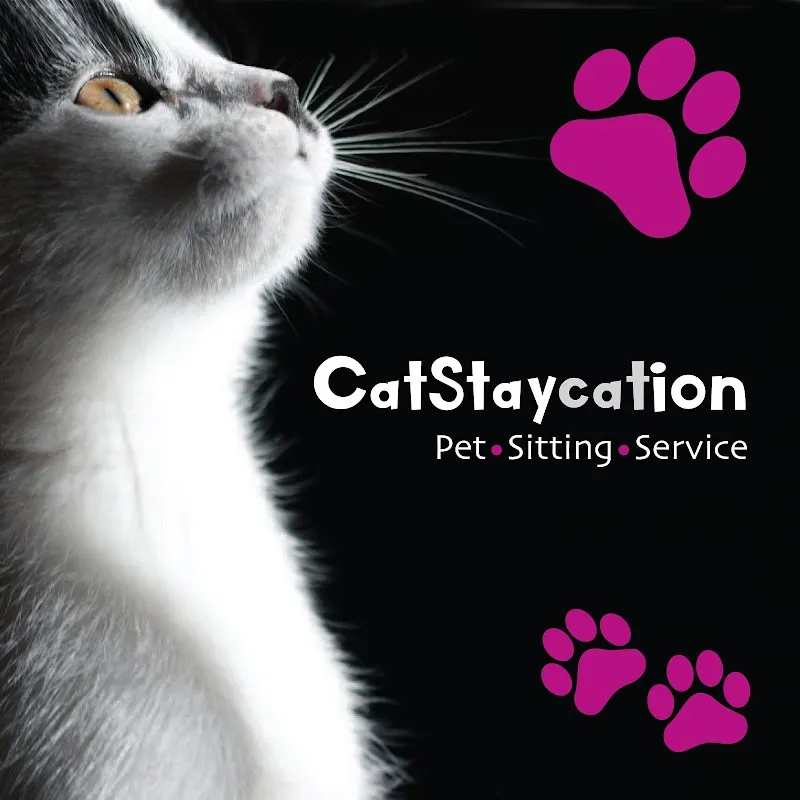 CatStaycation Cat Sitter Gloucester