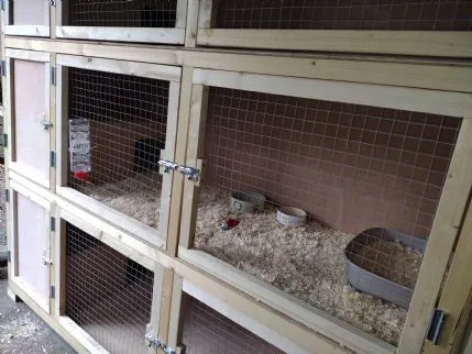 Little Pets Small Animal Boarding, Romsey - Photo 1 of 2