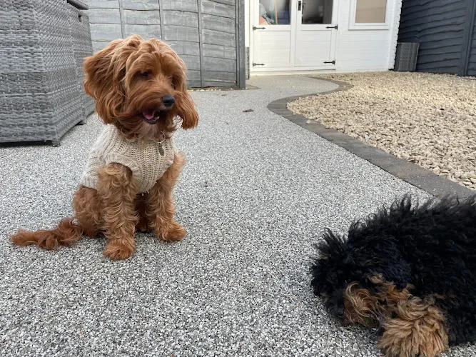 Fluffy Ears Pet Care Leeds, Leeds - Photo 1 of 2