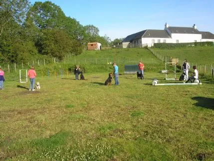 Ayrshire Dog Care, Ayr - Photo 1 of 2