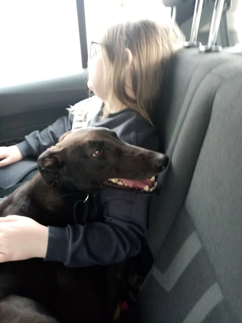 The Gable Racing Kennels