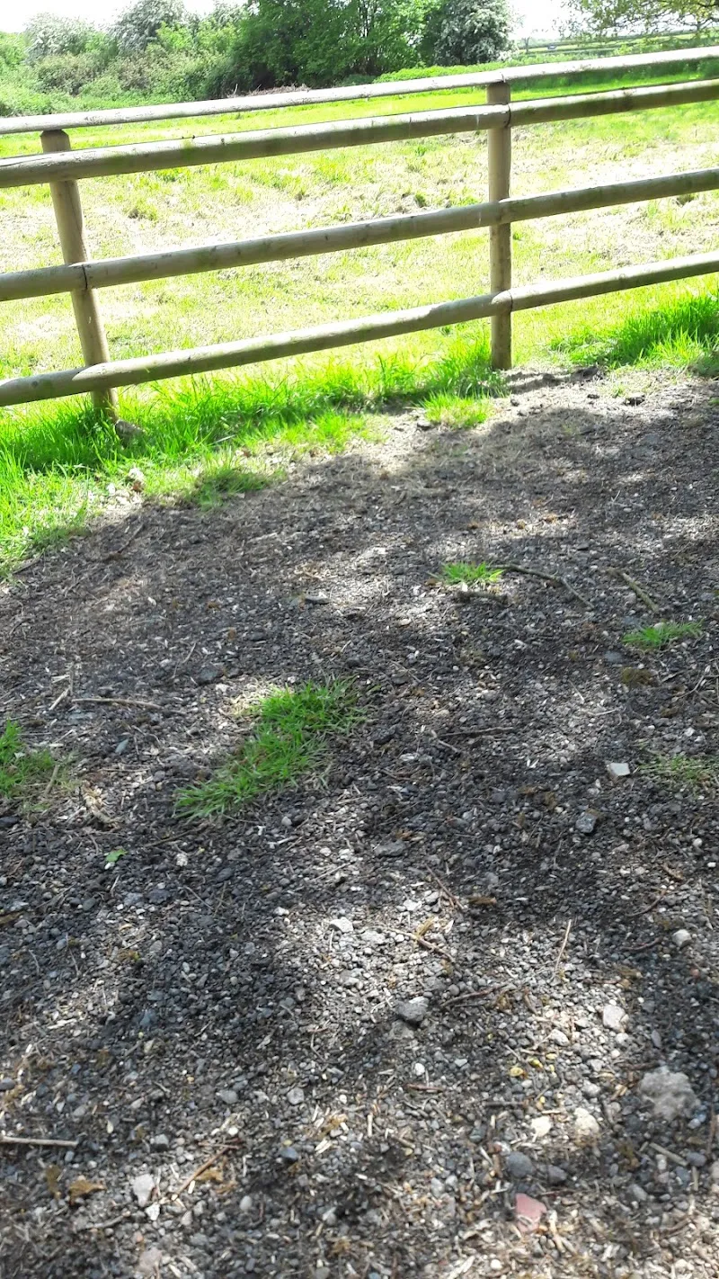 The Coppice Boarding Kennels & Cattery