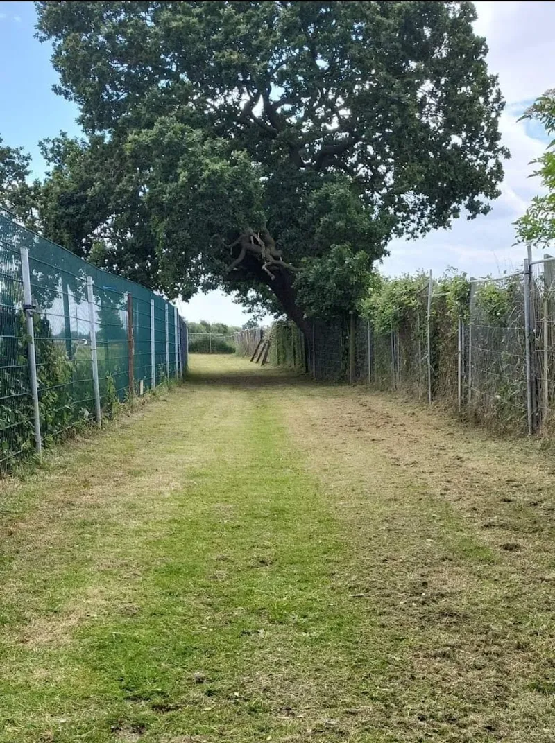 Linbee Boarding kennels