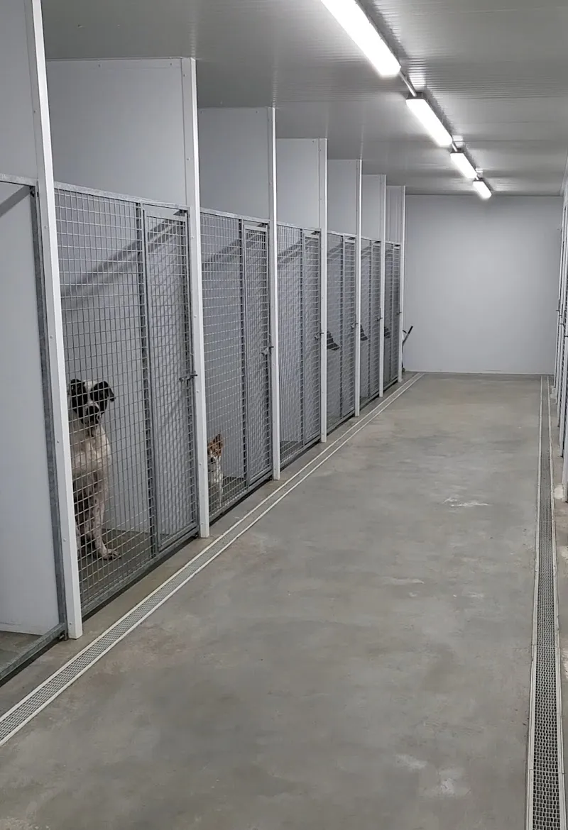 Linbee Boarding kennels