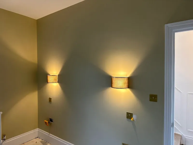 The Cat Butler Bromley - Cat Sitting Service, Cattery Alternative