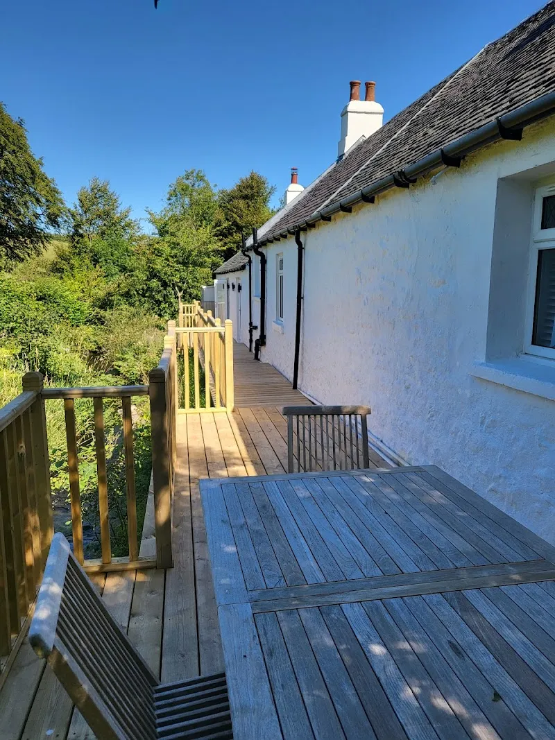 Holmbyre Boarding Cattery