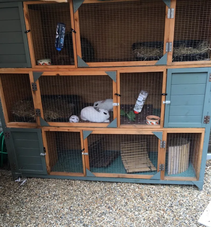 Nork Guinea Pig Hotel