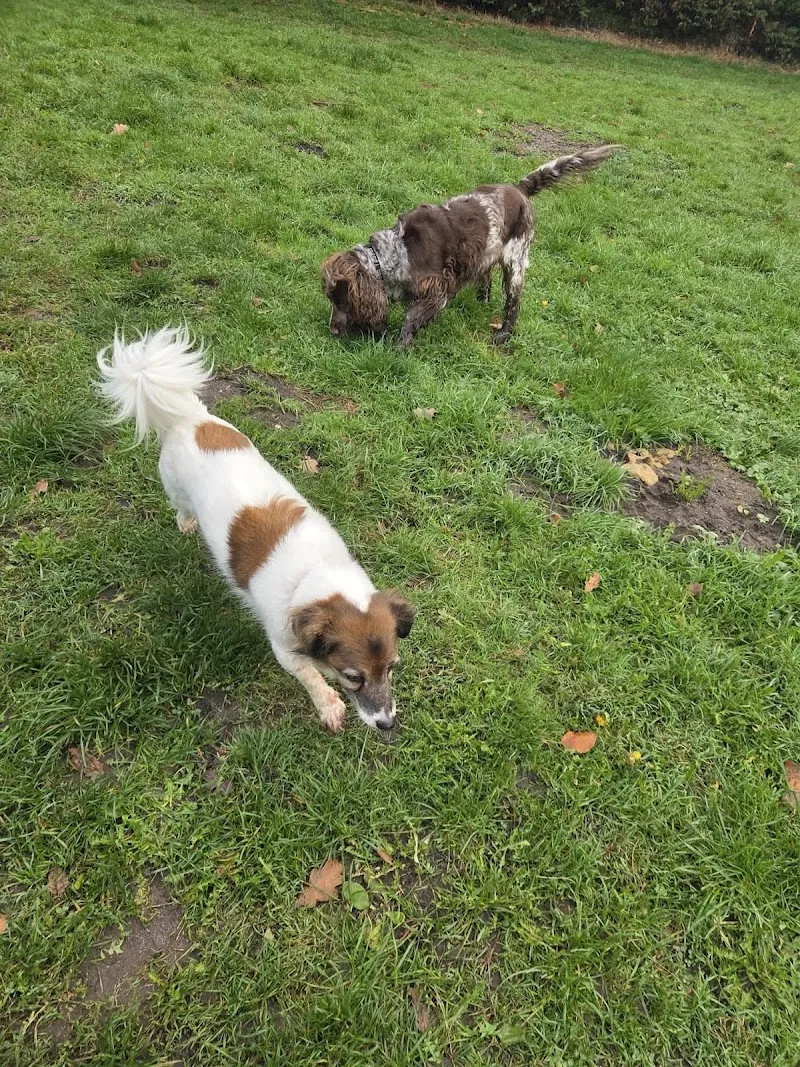 Hurn Lodge Kennels and Cattery