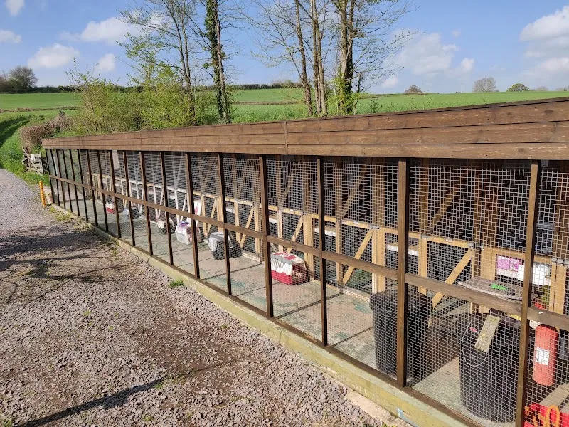 Buddle Oak Cattery