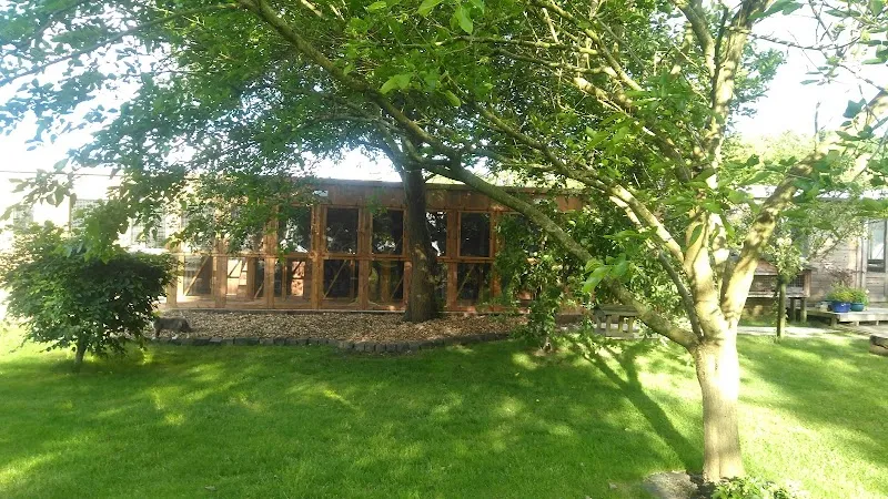 Leigh Luxury Cat Hotel